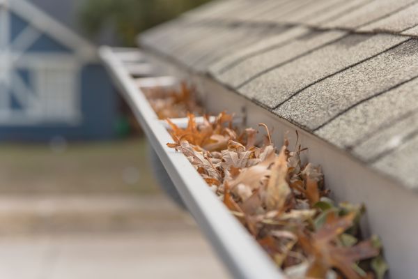 Leaf Barrier Installation in Hillsboro